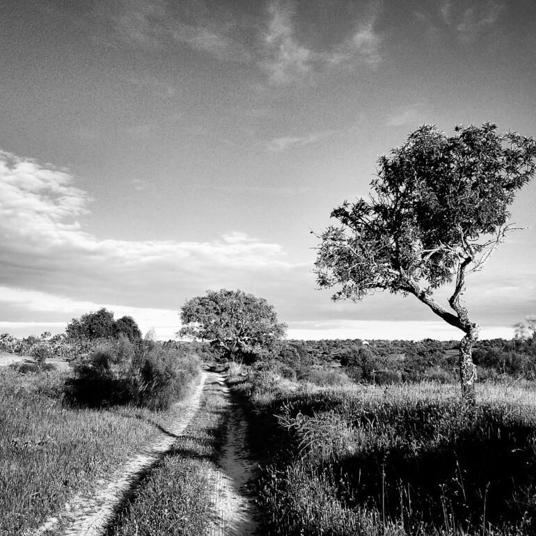 VAL 2008 Pêra Portugal